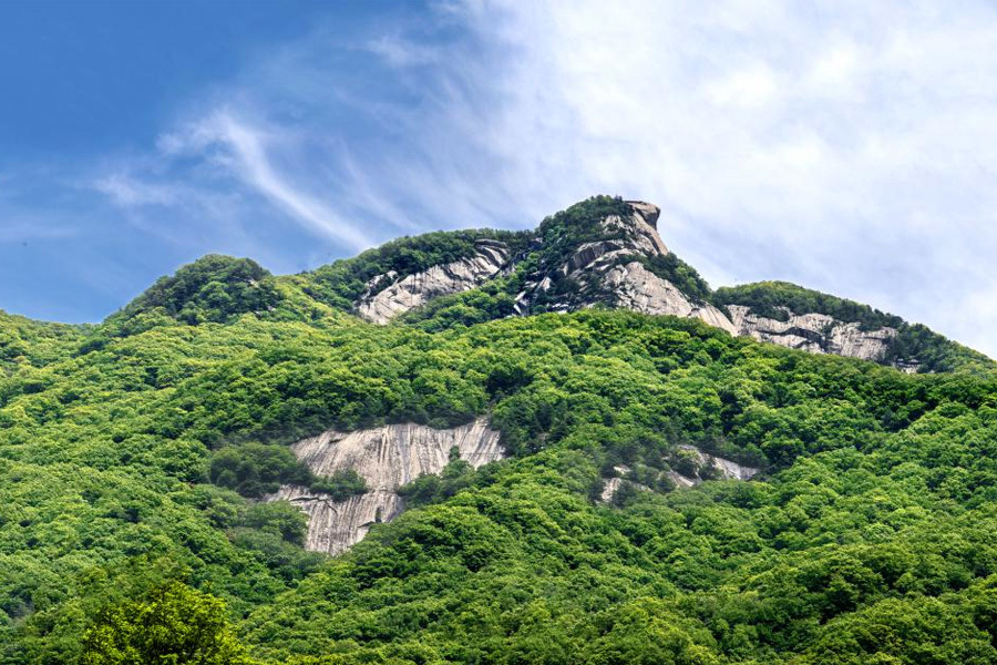 大(dà)鵬展翅