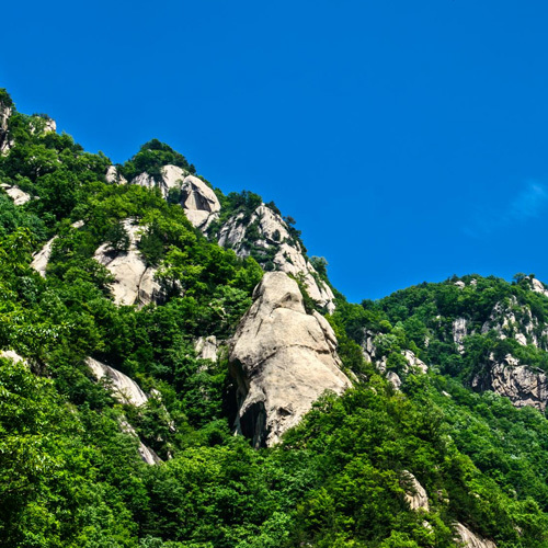 休閑養生(shēng) 休閑養生(shēng)